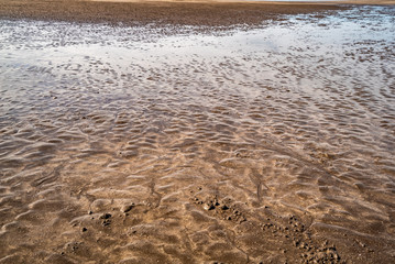 Sandy shore. extraordinary background