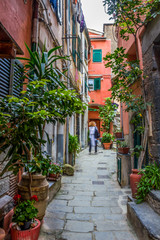 Fototapeta na wymiar beach streets and colorful houses on the hill in Vernazza in Cinque Terre in Italy 