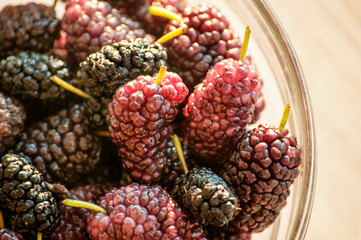 Mulberry berries