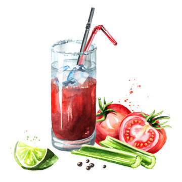 Cocktail Bloody Mary. Watercolor hand drawn illustration  isolated on white background