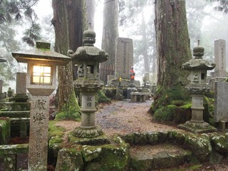 mont koya
