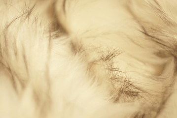 background of soft wool, close-up