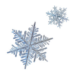 Two snowflakes isolated on white background. Macro photo of real snow crystals: elegant stellar...
