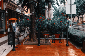 The streets of the old historic European city after the rain