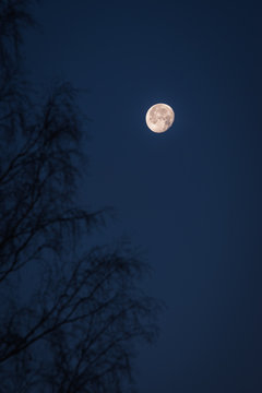 full moon in the sky