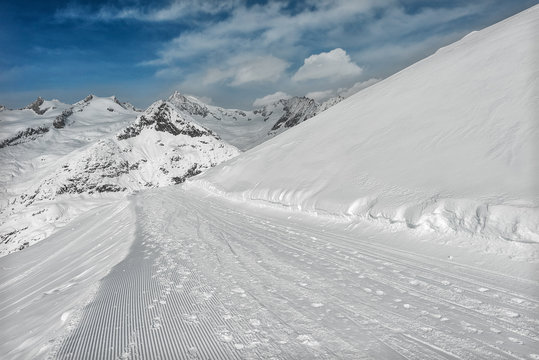 Leupe am Aletschgletscher