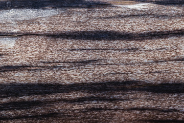 Real wood texture image background