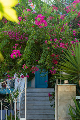 Fototapeta na wymiar Pink Greek garden (Samos, Greece)