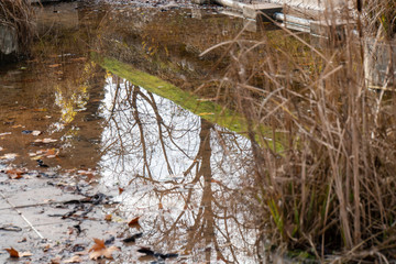 Reflektionen im Wasser