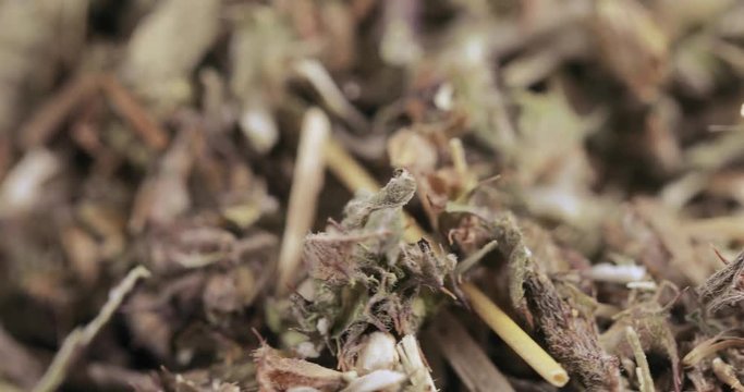 Motherwort grass in bulk