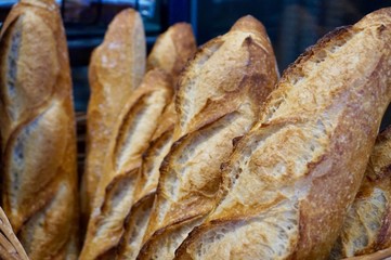 Baguettes standing upward in a basket at a Dutch bakery, ready to be sold. 