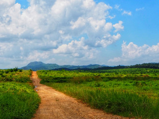 Beautiful rural road. Rural roads in Thailand