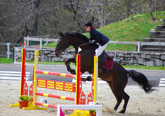 Pro horseback rider riding her stallion and jumping over the colorful obstacle.