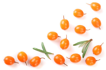 Sea buckthorn. Fresh ripe berry with leaves isolated on white background with copy space for your text. Top view. Flat lay pattern
