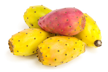 red end yellow prickly pear or opuntia isolated on a white background