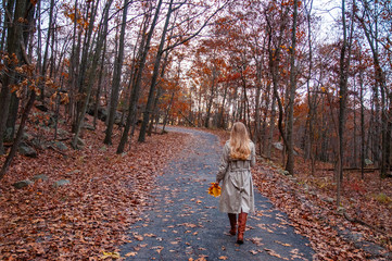 Fototapeta premium Beautiful woman is walking in the autumn forest.