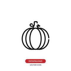Pumpkin vector icon