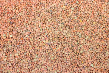 Lentils. Lentils background. Lentils pattern. Natural organic lentils for healthy food