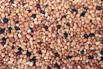 Closeup of different types of beans background. Bean texture