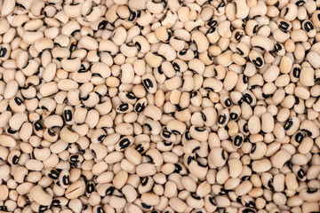 White kidney beans. White beans texture as background. Top view.