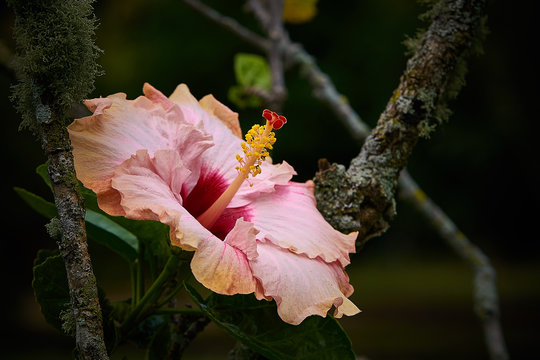 Jardim Botanico Rio