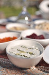 Traditional Cypriot meze and kebap barbecue party in the garden with delicious mix meat and chicken kebaps