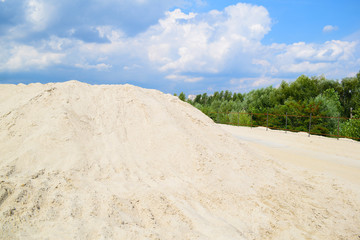 View of the desert and green plants in nature in summer.