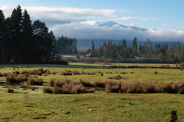 landscape with mountains