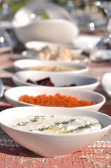 Traditional Cypriot meze and kebap barbecue party in the garden with delicious mix meat and chicken kebaps