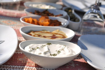 Traditional Cypriot meze and kebap barbecue party in the garden with delicious mix meat and chicken kebaps