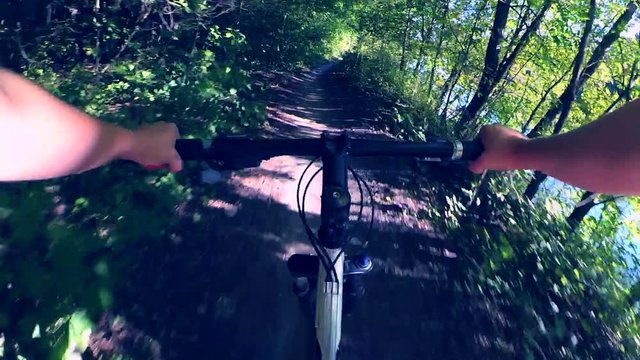Person cycling on bicycle ride green forest on sunny day. Biking on path in forest. Point of view pov mtb gopro action camera. Multicam split screen group video montage