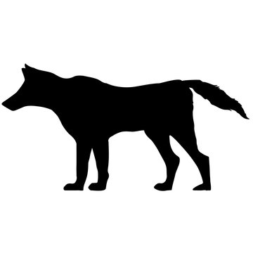 black and white vector silhouette of wolf. Animal illustration