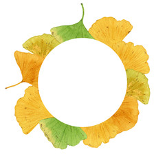 Naklejka premium Hand drawn watercolor frame of ginkgo biloba leaves, isolated on white background. Can be used for greeting cards, invitations, postcards, prints, table napkins.