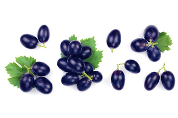 bue grapes wih leaves isolated on the white background with copy space for your text. Top view....