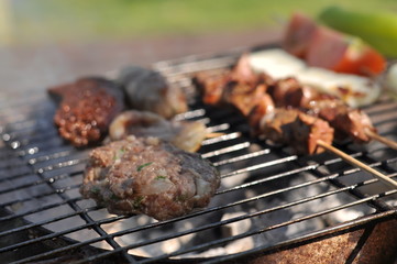Traditional Cypriot meze and kebap barbecue party in the garden with delicious mix meat and chicken kebaps
