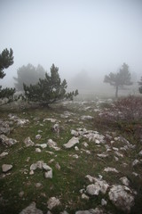 morning in the mountains