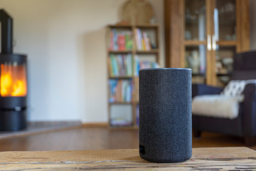 voice controlled smart speaker