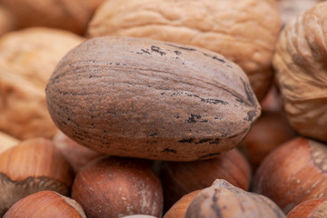 Macro shot of different nuts: almond, walnut, hazelnut and pecan on burlap background.