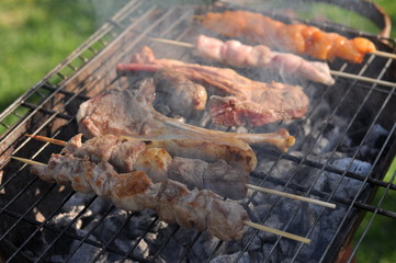 Traditional Cypriot meze and kebap barbecue party in the garden with delicious mix meat and chicken kebaps