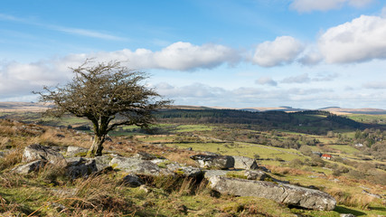 Dartmoor