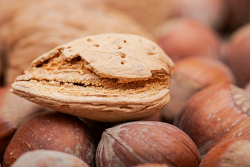 Macro shot of different nuts: almond, walnut, hazelnut and pecan on burlap background.