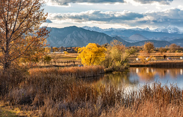 Cottonwoods on Stearns Lake in Autumn