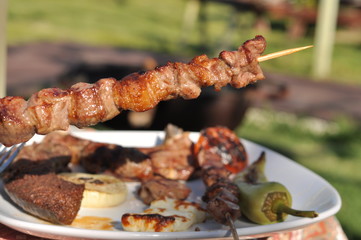 Traditional Cypriot meze and kebap barbecue party in the garden with delicious mix meat and chicken kebaps