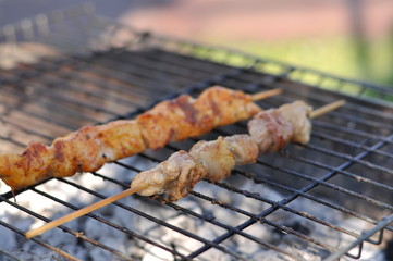 Traditional Cypriot meze and kebap barbecue party in the garden with delicious mix meat and chicken kebaps