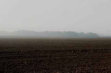 morning mist over a harvested field in autumn