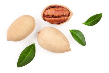 pecan nut decorated with green leaves isolated on white background. Top view. Flat lay