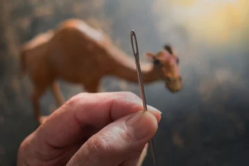 Zelfklevend Fotobehang eye of needle and camel © kentannenbaum46