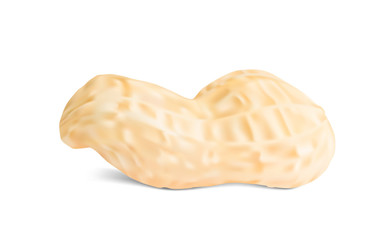 Realistic peanut isolated on white background. Ready for your design. Vector illustration. EPS10.