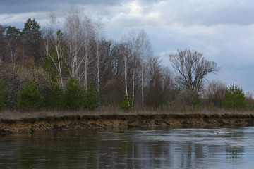 Spring day in the early spring