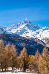 L'oro del Monviso